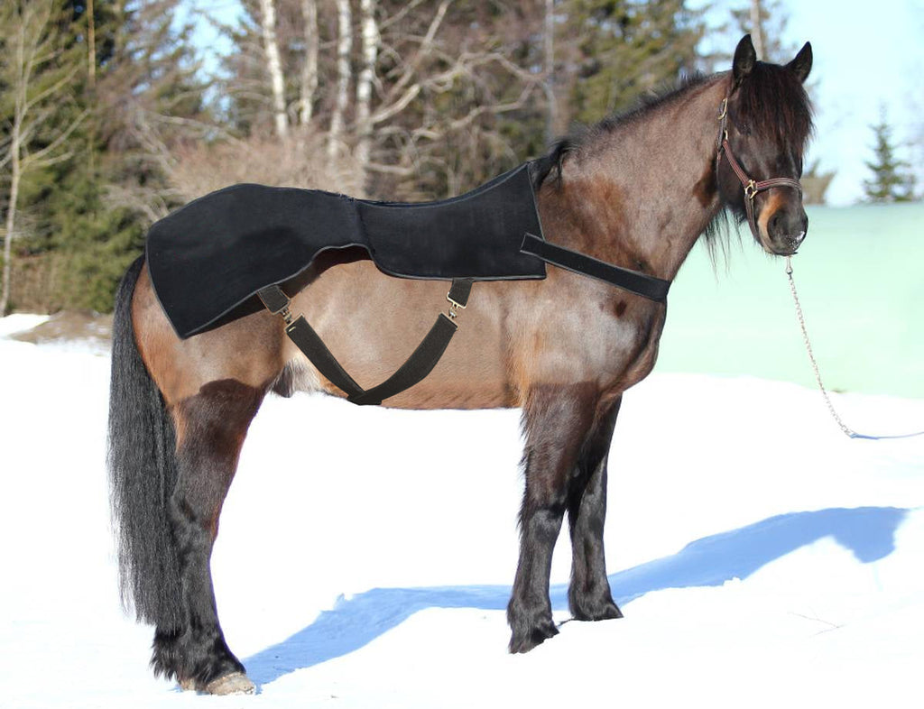 LumaStride™ Complete - Red-Light Therapy for Your Horse