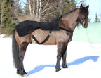 LumaStride™ Complete - Red-Light Therapy for Your Horse
