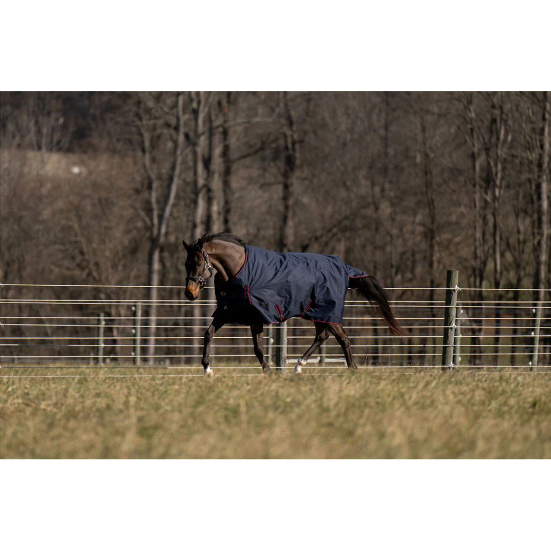 TuffRider 600 D Ripstop Standard Neck Light Weight Turnout Blanket with 100 GSM Fill