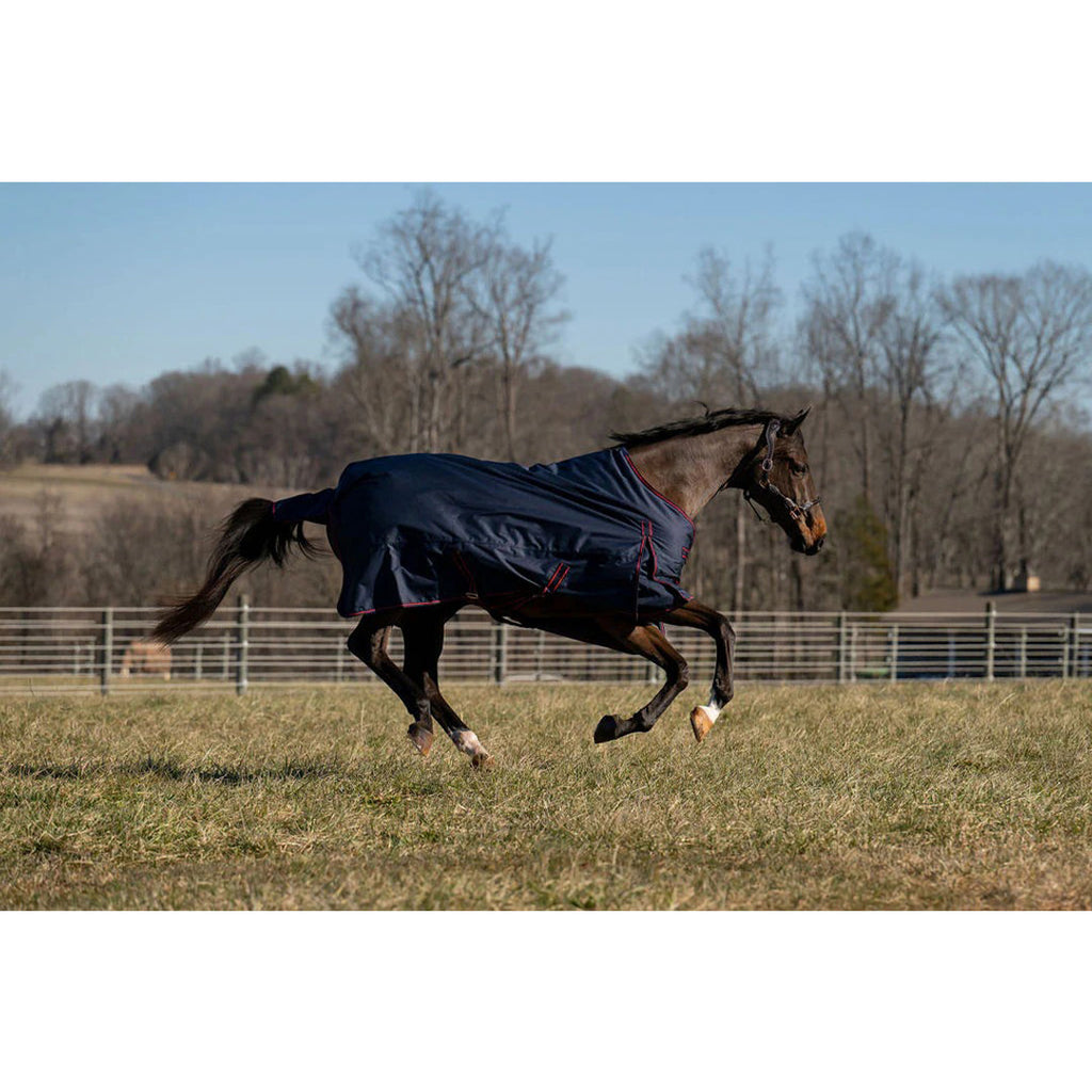 TuffRider 600 D Ripstop Standard Neck Light Weight Turnout Blanket with 100 GSM Fill