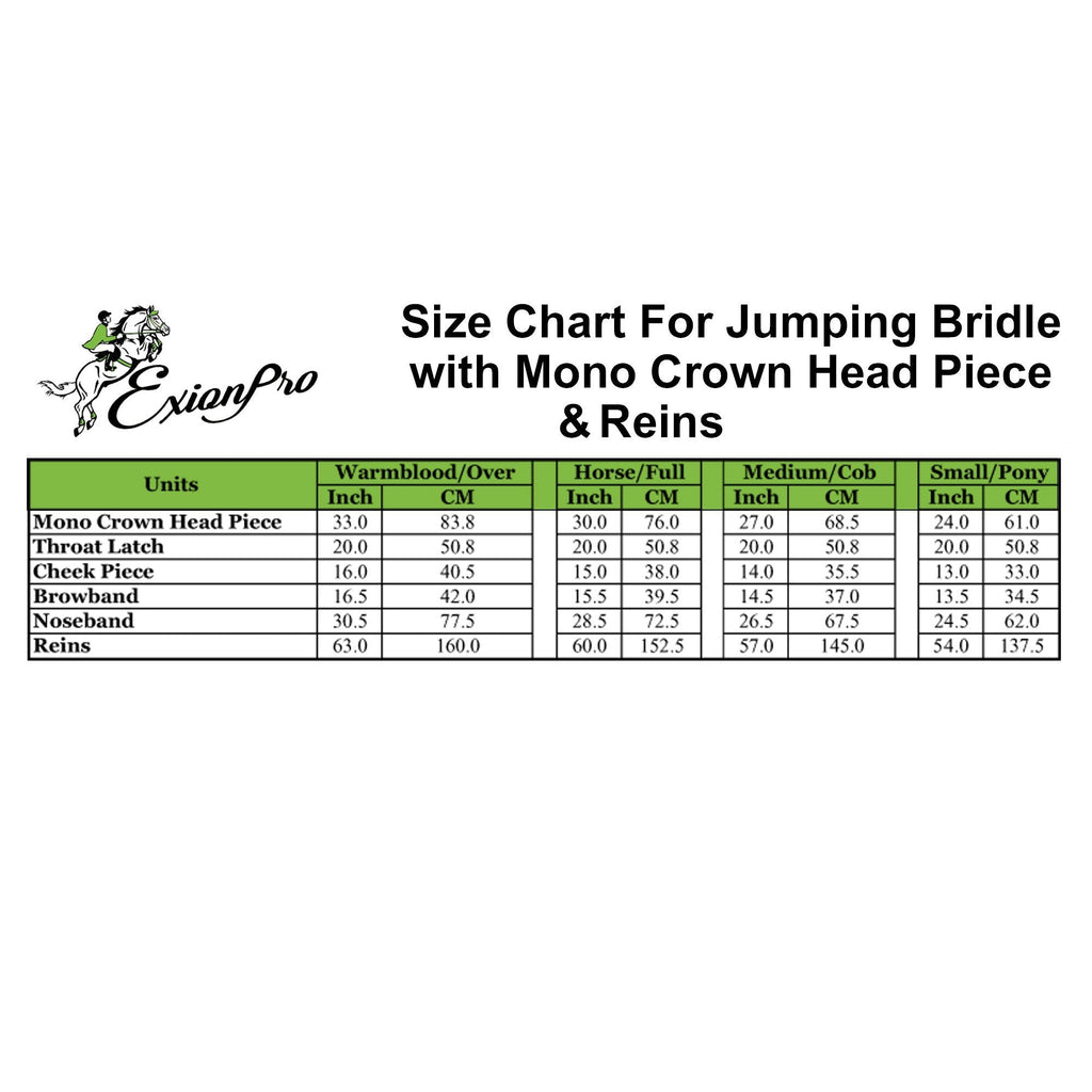 ExionPro 'Atlas' Classic Jumping Bridle with Reins