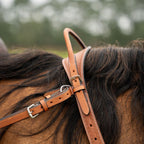 Western Double Neck Strap