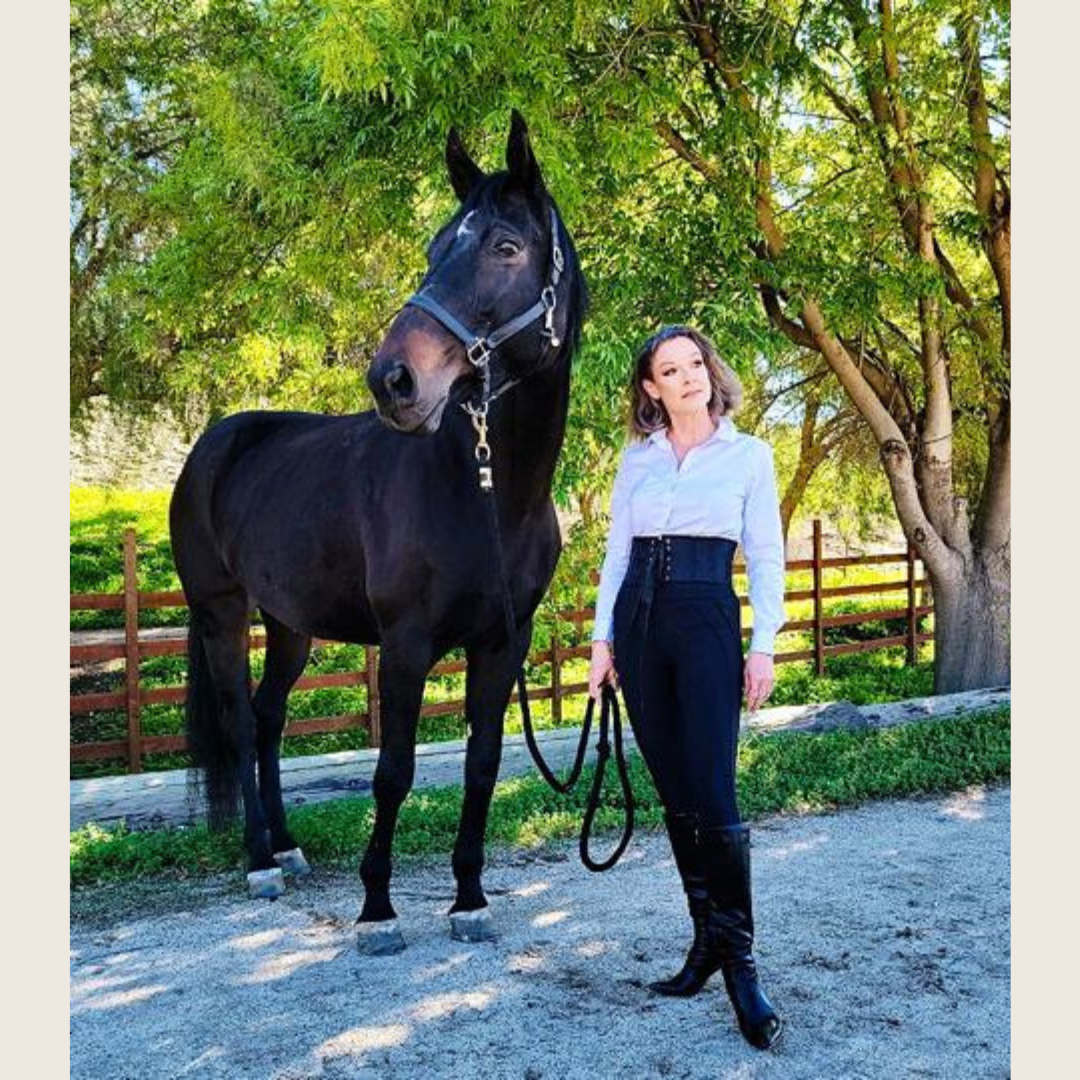 DQD Advanced Rider Breeches
