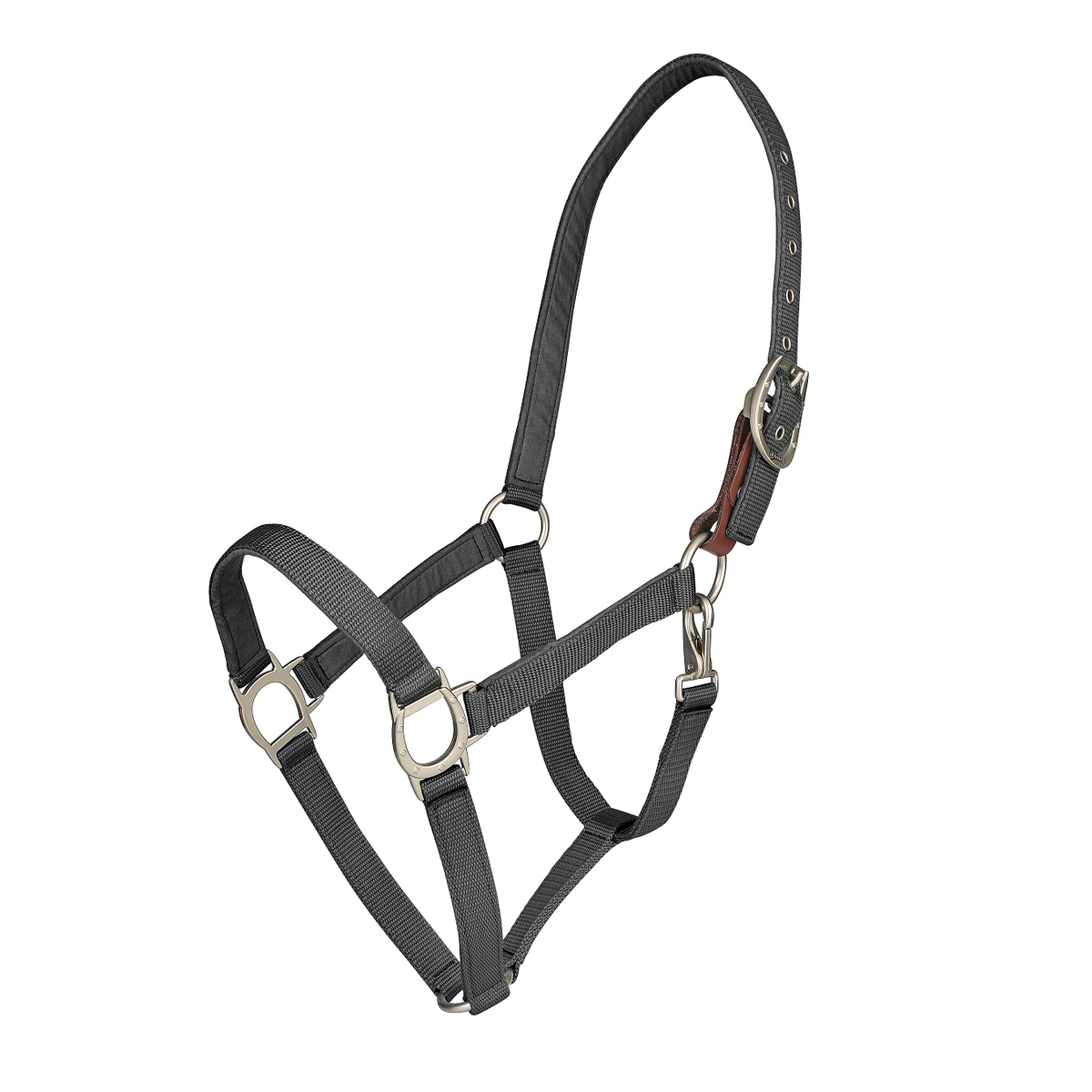 Color Collection by Ovation® Lucky Breakaway Halter - Black