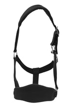 Henri de Rivel Ergonomic Comfort Halter and Lead Rope Set