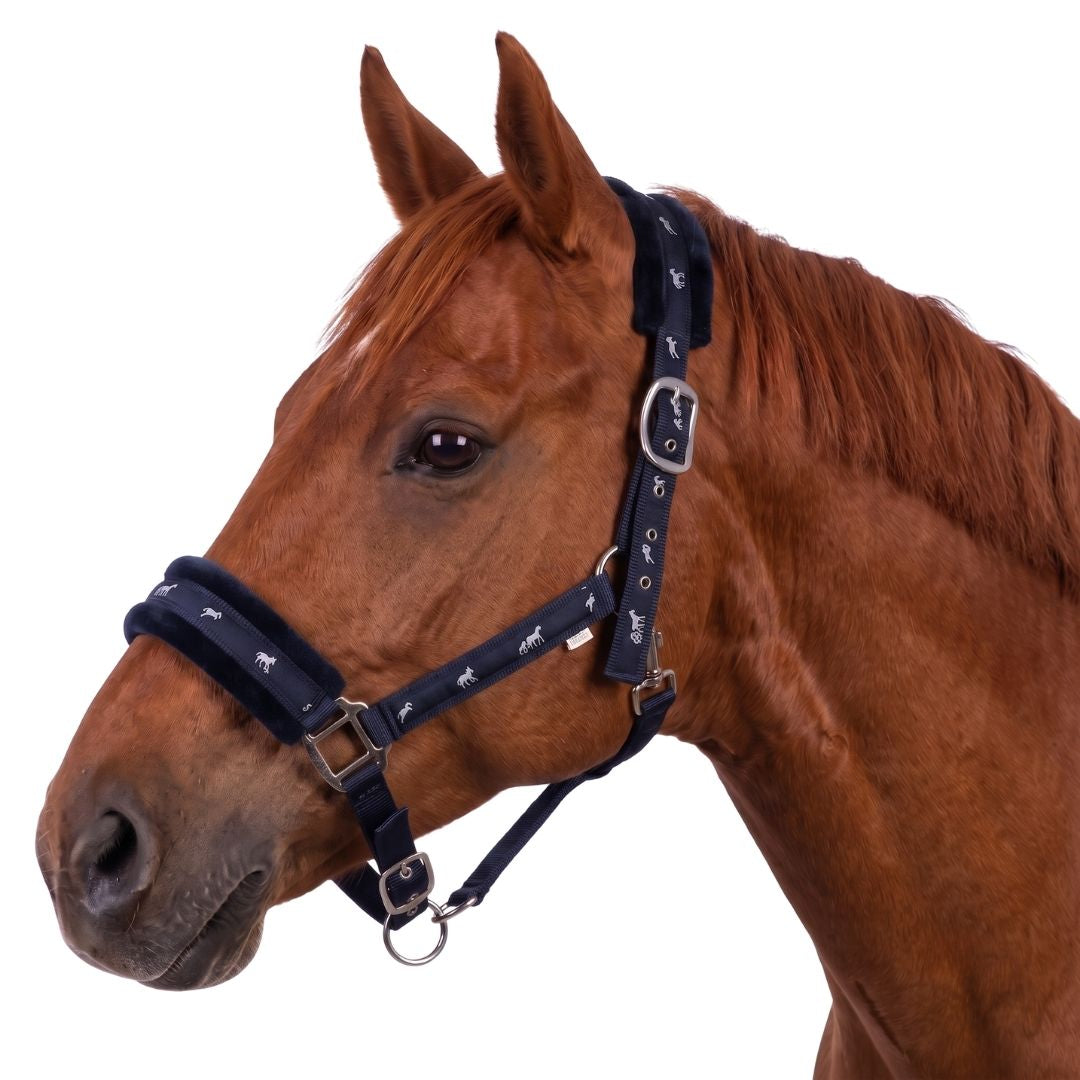 Miller’s Everyday Fleece-Lined Breakaway Horse Halter