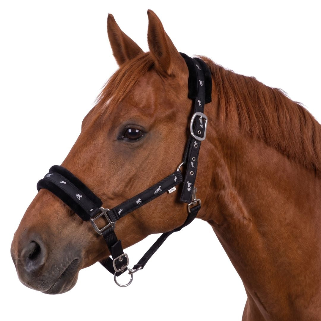 Miller’s Everyday Fleece-Lined Breakaway Horse Halter