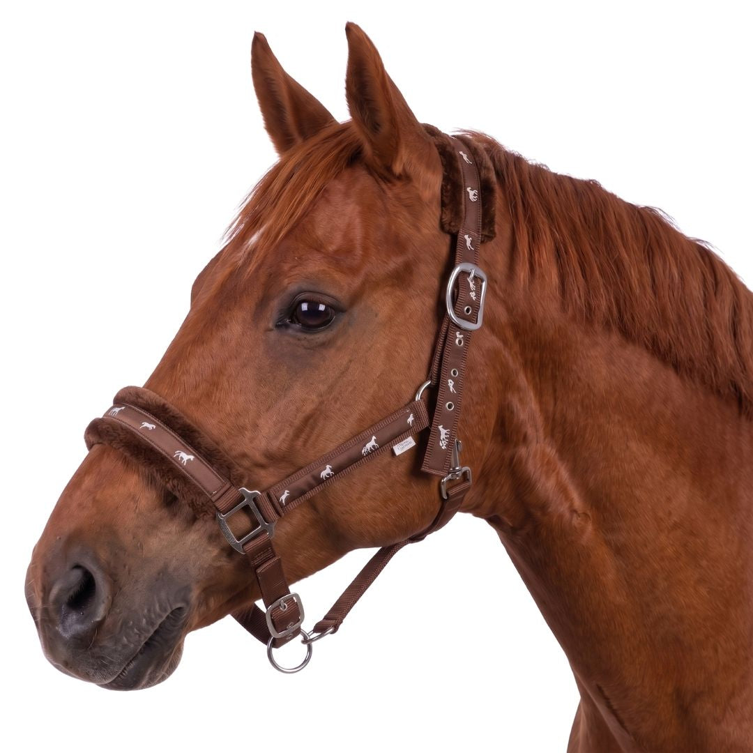 Miller’s Everyday Fleece-Lined Breakaway Horse Halter