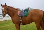 Derby Originals All Purpose English Saddle Pad with Pockets Half Fleece lined for Shock Absorbing Wither Relief Design for comfort and Trail Riding.
