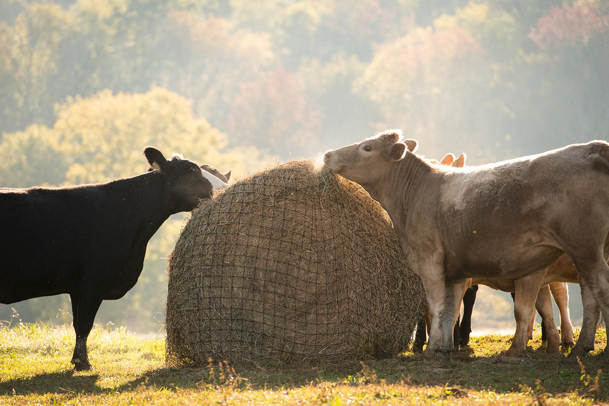 Livestock Round Bale Hay Net - 3" Holes