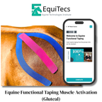 Equine Functional Taping Certification Course — 20 CE Hours