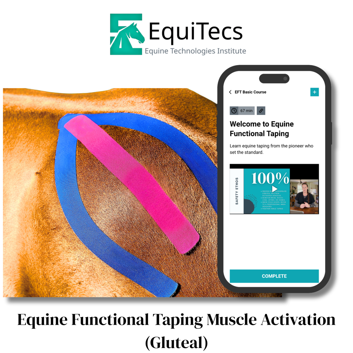 Equine Functional Taping Certification Course — 20 CE Hours