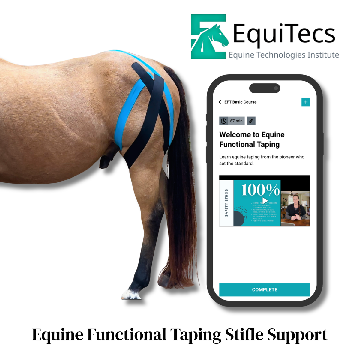 EquiTecs EFT Application Library - App