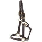 Huntley Equestrian Premium Leather Triple Stitched Halter with Snap