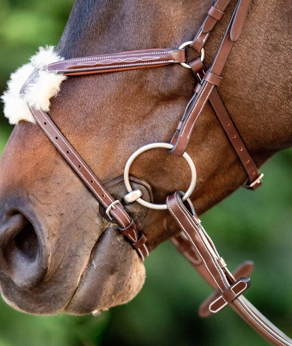 Huntley Equestrian Sedgwick Leather Padded Monocrown Figure 8 Bridle