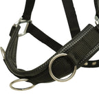 Huntley Nylon Padded Lunging Caveson, Black