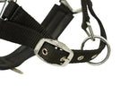 Huntley Nylon Padded Lunging Caveson, Black