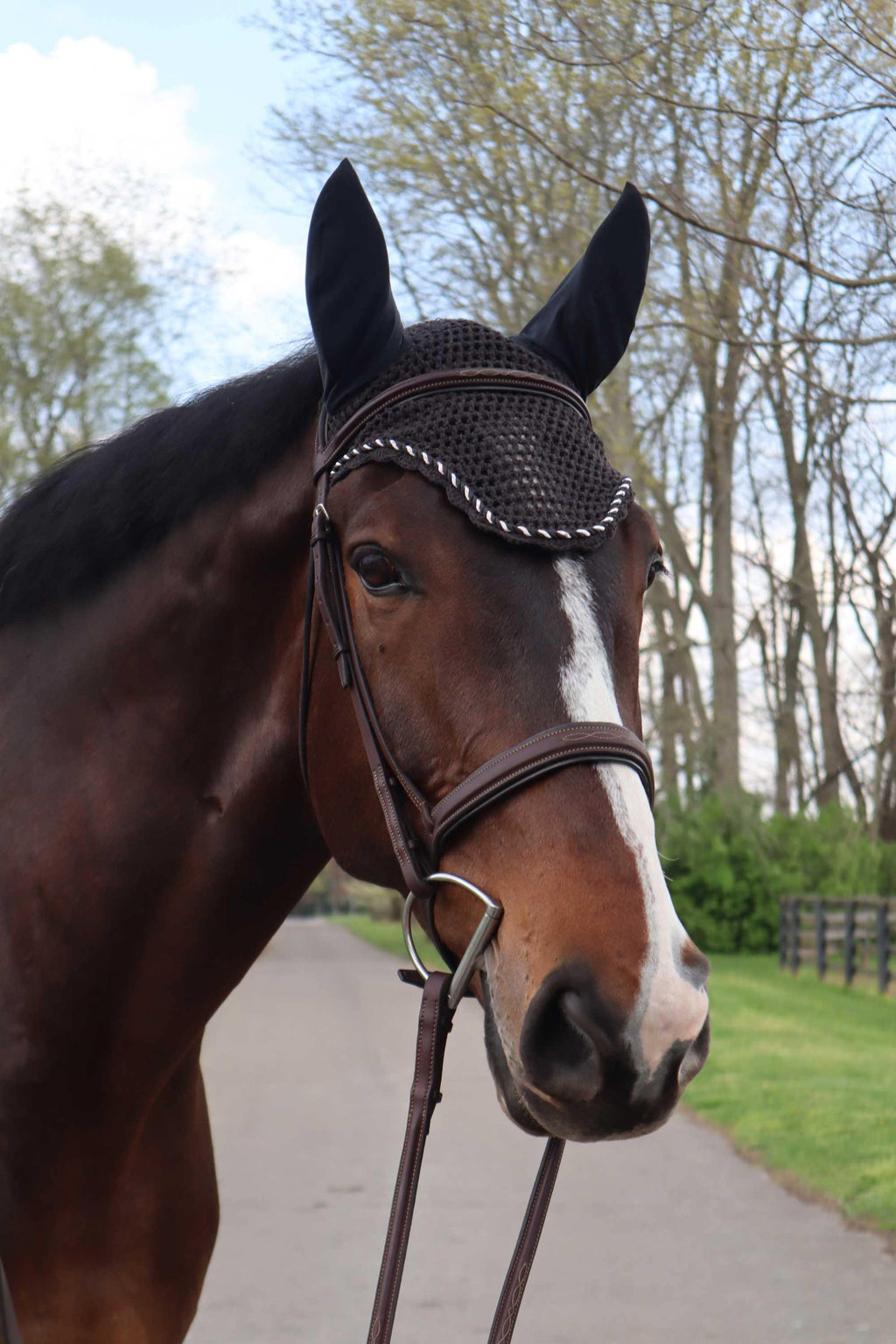 LT® Therapeutic Ear Bonnet-Mesh