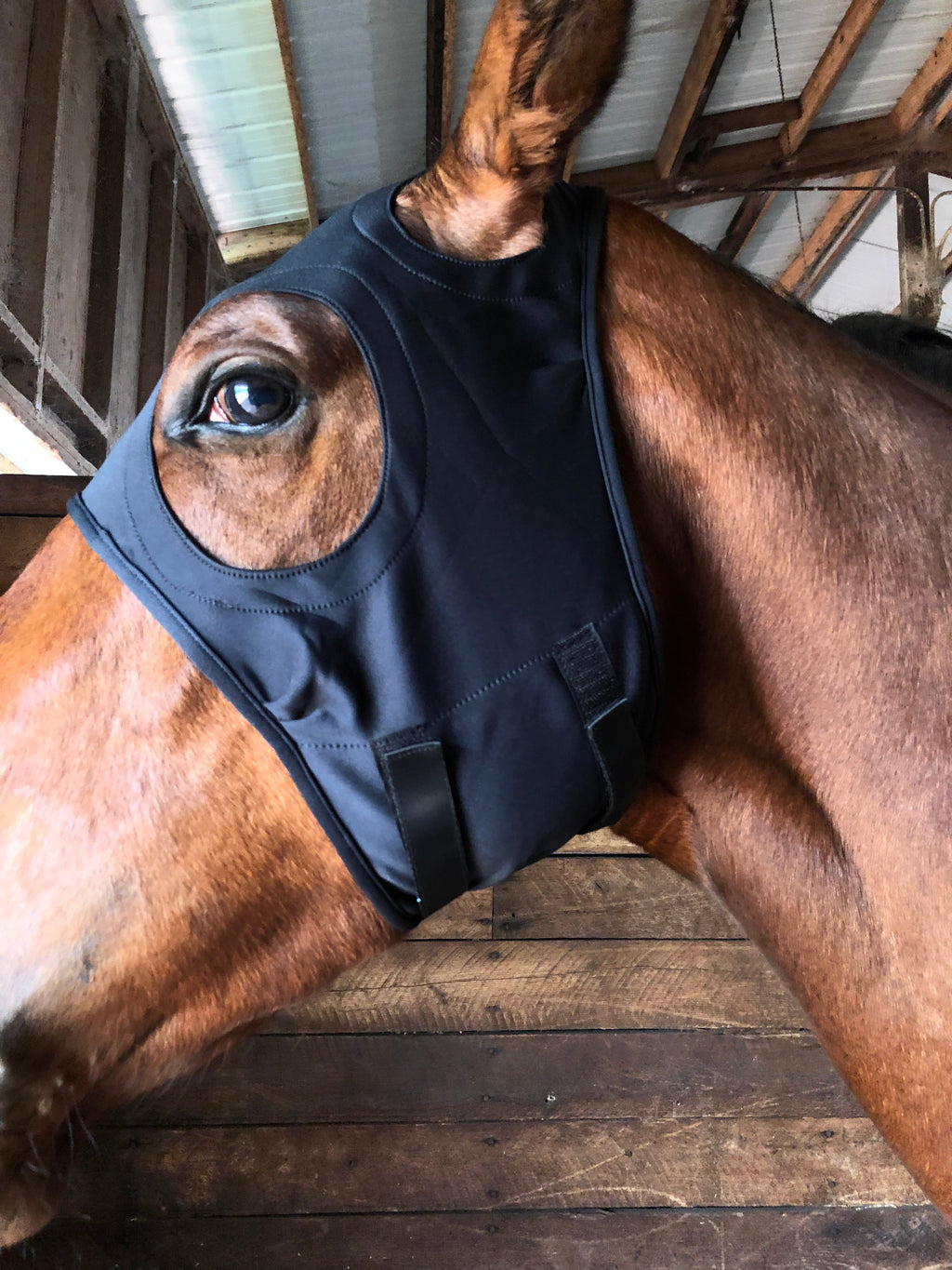 LT® Therapeutic Mask with Ears