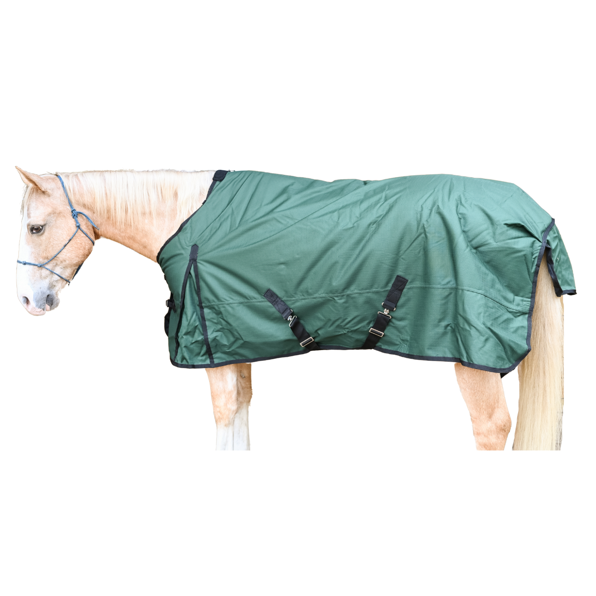 AJ Tack 1200D Waterproof Turnout Horse Blanket with Storage Bag, Green