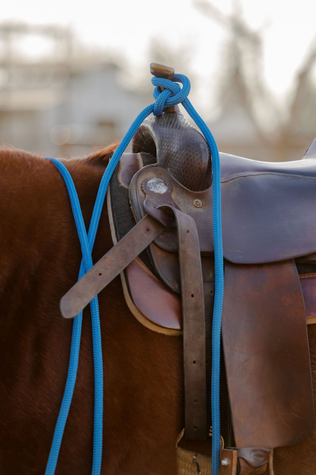 22 Ft Mecate Reins