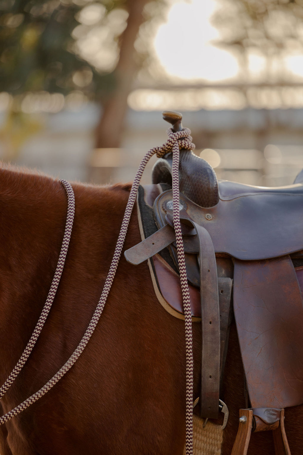 22 Ft Mecate Reins