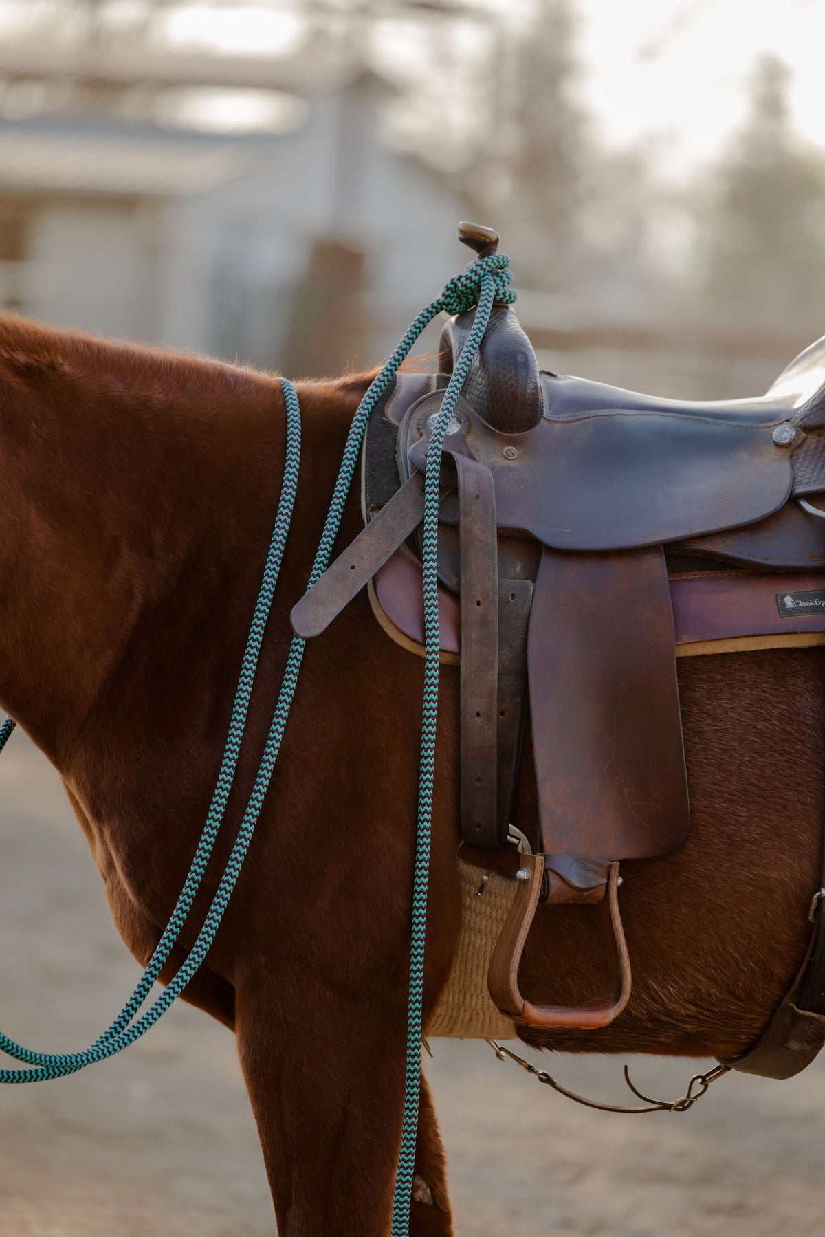 22 Ft Mecate Reins