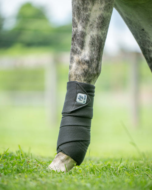 AJ Tack Polo Wraps, 5" x 12', Pack of 4