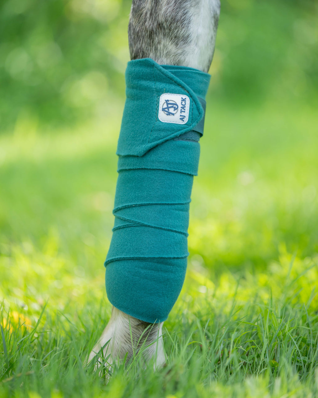 AJ Tack Polo Wraps, 5" x 12', Pack of 4