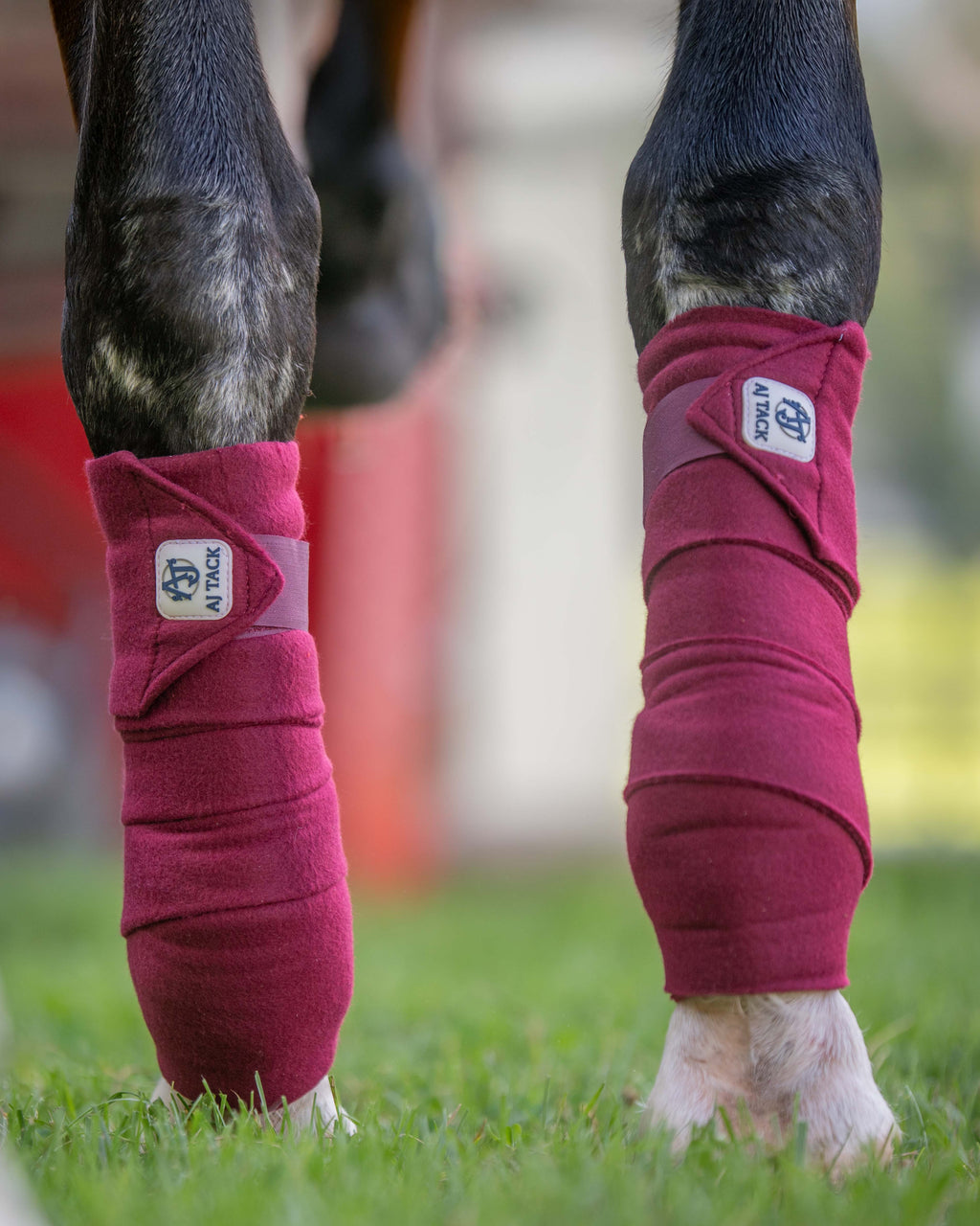 AJ Tack Polo Wraps, 5" x 12', Pack of 4