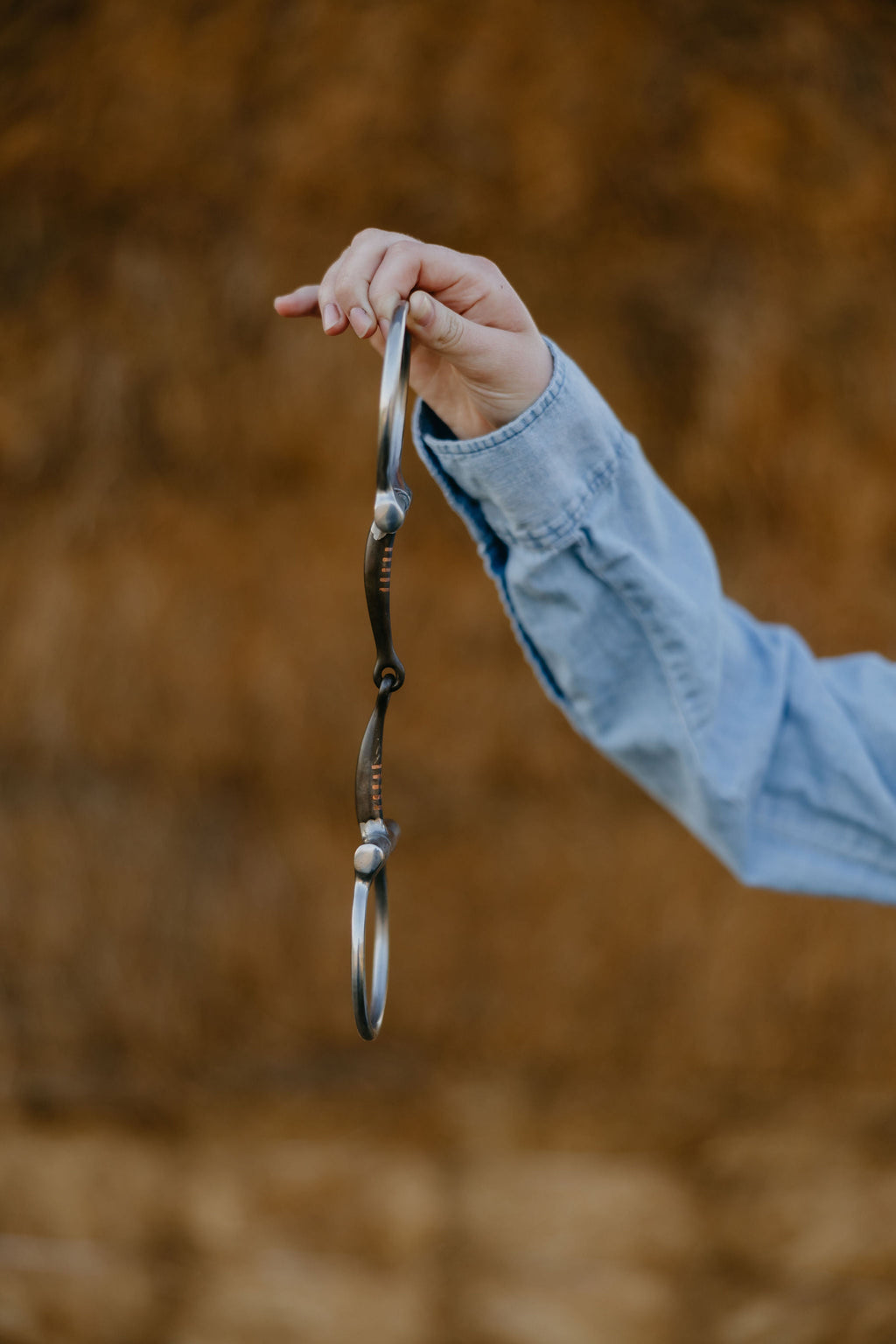 Sweet Iron Smooth Dee Snaffle with Copper Inlay