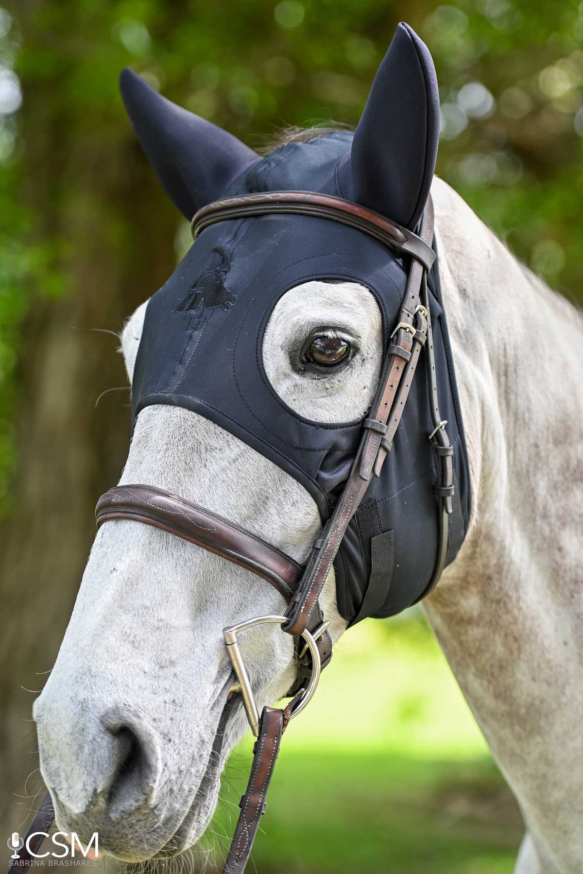 LT® Therapeutic Mask with Sound Reducing  Ears