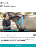 EFT Shoulder Support