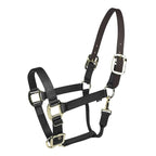 Gatsby Gold Nylon Breakaway Halter