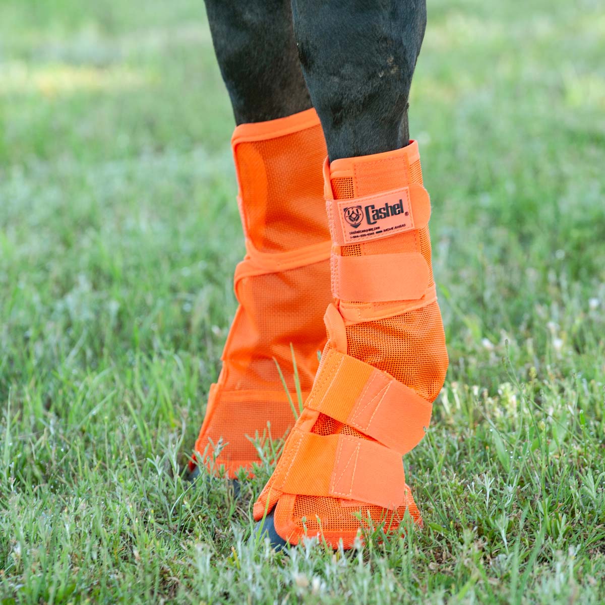 Cashel Crusader Horse Fly Boots Contoured Fit Leg Guards, Set of 2
