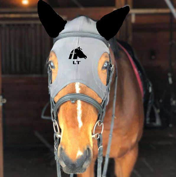 LT® Therapeutic Mask with Ears