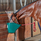 The Better Bucket – 2.5 & 5 Gallon Horse and Cattle Feeder, Ergonomic Feed