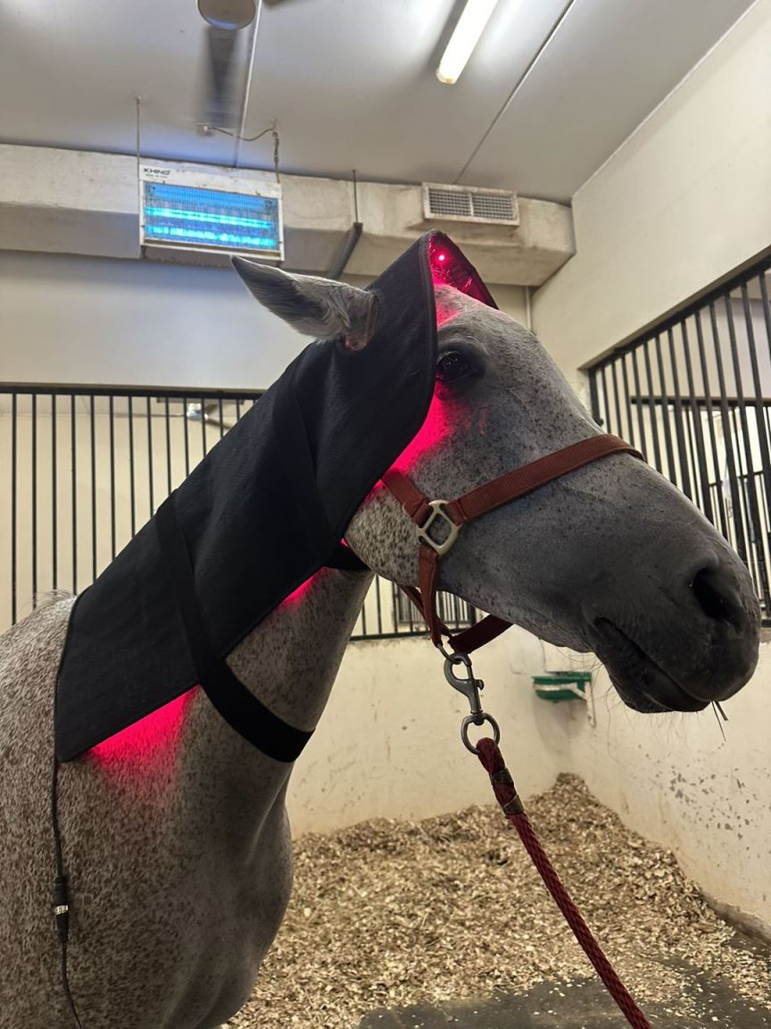 LumaStride™ Head & Neck Wrap